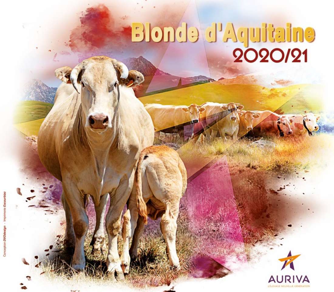 Affiche Auriva catalogus 2020-2021