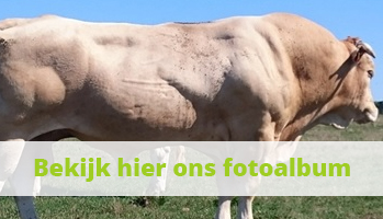 bekijk foto's