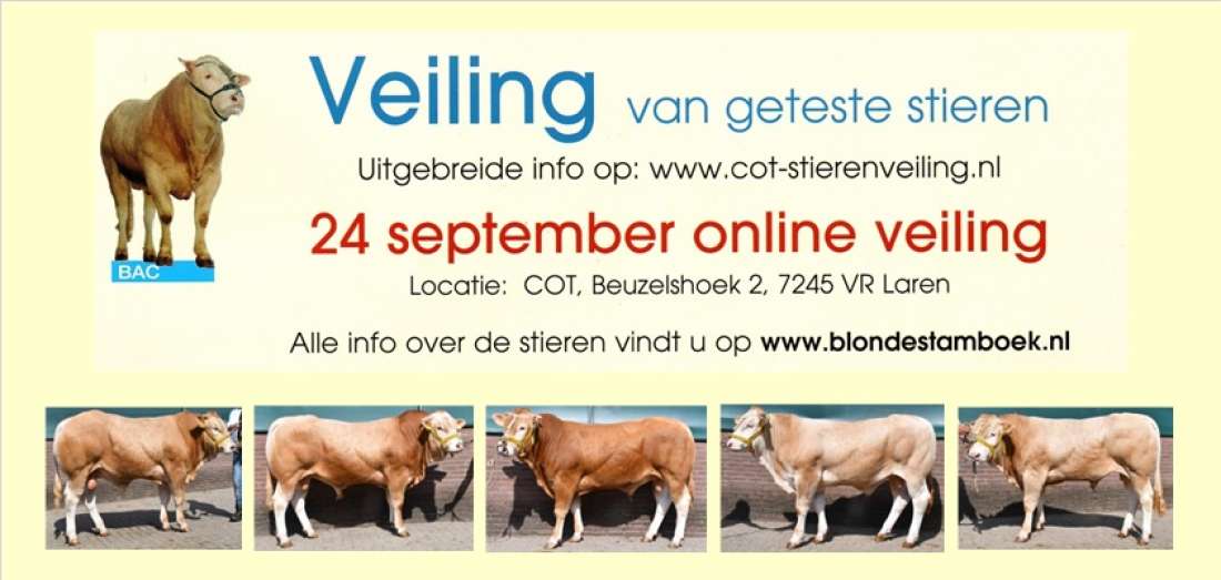 Affiche COT online veiling 2022-09-24
