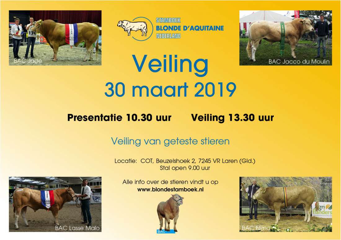 Affiche veiling stieren 2019-03-30