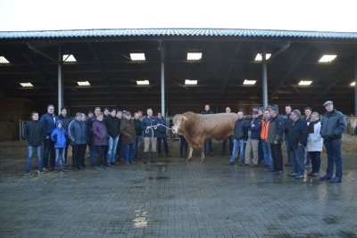 Groepsfoto met fokstier Imposant