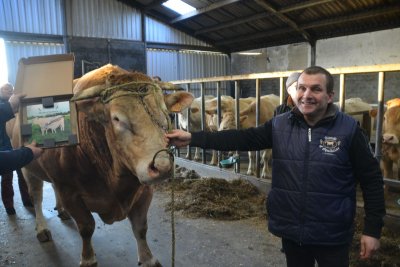 Jan Lauryssen met de stier Jambon