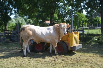 Foto uit map Terugblik bedrijfsbezoeken met afsluiting jaarlijkse barbecue